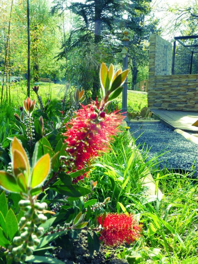 Les Roulottes A Sandie ทิองวิลล์ ภายนอก รูปภาพ